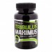 Tribulus Maximus 1500 mg 90 tabs