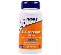 L Carnitine 250mg 60 caps Now