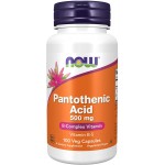 Pantothenic Acid 500mg Vitamin B 5 100 caps ...