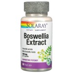 Boswellia Extract 60 caps Sol