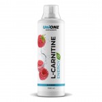 L Carnitine Energy Fit 1000 ml