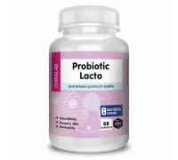 Probiotic Lacto 60 caps Cl