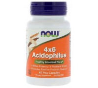 4x6 Acidophilus 60 caps Now