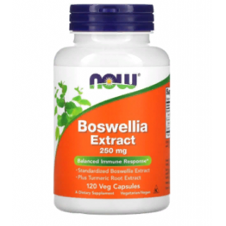 Boswellia Extract 250mg 120 caps Now