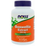 Boswellia Extract 500mg 90 caps Now