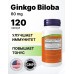 Ginkgo Biloba 60mg 120 caps Now