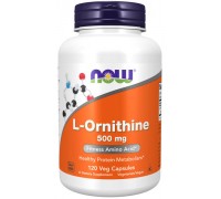 L Ornithine 500mg 120 caps Now