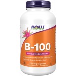 Vitamin B 100 Complex 250 caps Now