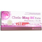 Chela Mag B6 Forte 250mg 60 caps