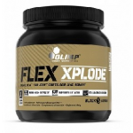 FLEX XPLODE for Joint 504 gr