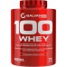 GALVANIZE 100 WHEY Protein 900 gr