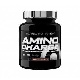 Amino Charge 570 gr SN