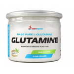 Base Pure Glutamine 300 gr WP