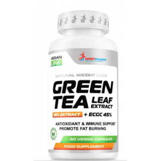 GREEN TEA Leaf Extract 60 caps WP